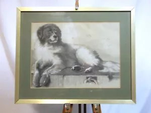 Antique 1888 framed print Distinguished Member signed after Sir Edwin Landseer - Picture 1 of 7