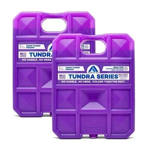 Arctic Ice Tundra Series High Performance Ice Pack, X-Large 5 LB (2-Pack) - Picture 1 of 6