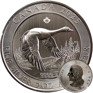Ganso 2025 moneda de plata incl. cápsula 2 oz plata Ag 999,9 Canadá 10 dólares ganso - Imagen 1 de 7