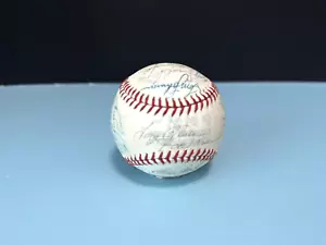 1977 MINNESOTA TWINS squadra firmata Rawlings baseball Oliva Rod Carew 27 firme - Foto 1 di 14