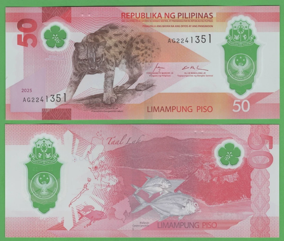 Philippines 50 Peso 2025 P-NEW UNC Polymer Banknote Piso World Currency  Money | eBay