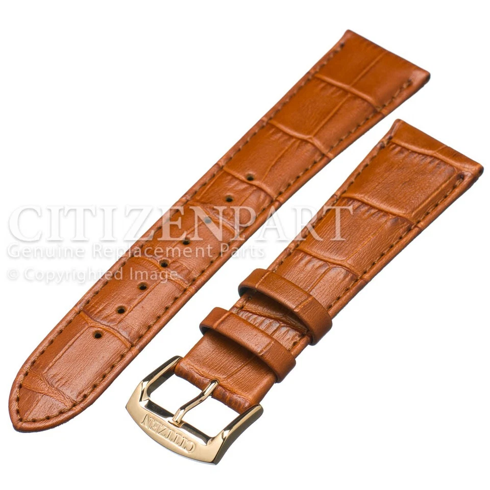 Correa de cuero marrón original Citizen de 22 mm para reloj de vestir Corso AO9003-08E Foto 1 de 4