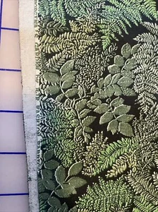 Georgias Garden Cotton Fabric Quilting Ferns on Black 3.5 yards RJR Woodland - Picture 1 of 11