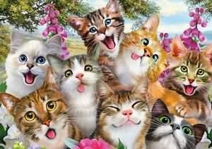 Rompecabezas Schmidt Cat Selfie (500 piezas) - Imagen 1 de 1
