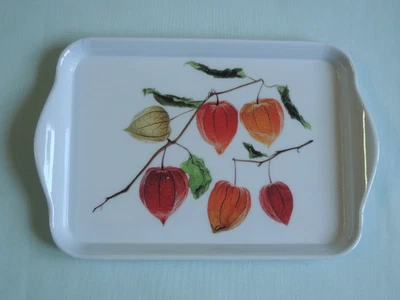 Ambiente 1x Tablett Lampionblumen 13 x 21 cm Herbst - Bild 1 von 2