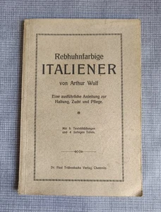 Rebhuhnfarbige Italiener - Bild 1 von 5