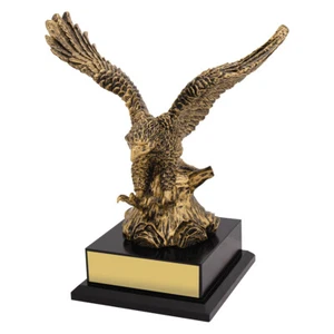 SOARING SUCESS AWARD TROPHY FREE ENGRAVING PERSONALISED - Picture 1 of 1