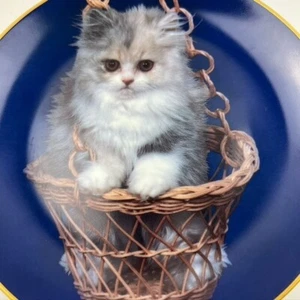 Armstrongs Art Cat Decorative Plate 1984 "Purr-Swayed" Kitten by Robert Pearcy - Picture 1 of 8