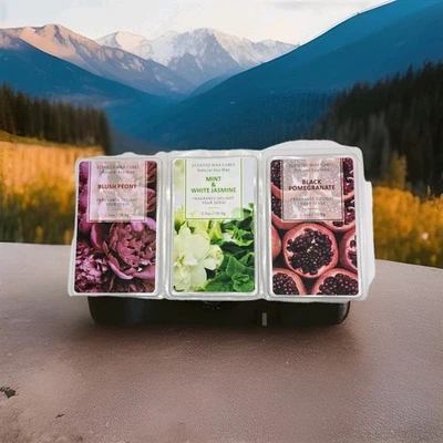 Scented Wax Cubes Natural Soy Wax 2.5 oz. Each Pomegranate Blush Peony Jasmine  - Image 1 of 4