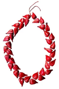 Roman Reigns Tribal Jefe Rojo Ula fala Collar Disfraz Accesorio - Imagen 1 de 10