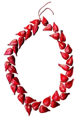 Roman Reigns Tribal Chief Red Ula fala Necklace Costume Accessory - Image 1 of 4