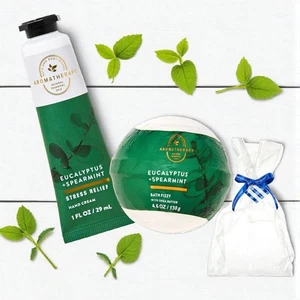 *Neu* Eukalyptus Spearmint Handcreme Bad Sprudel 2 Stück Bath & Body Works Geschenktüte - Bild 1 von 1