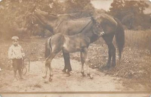 D92/ Horse Animal Photo RPPC Postcard c1910 Child Training Occupational Work 8 - Picture 1 of 2