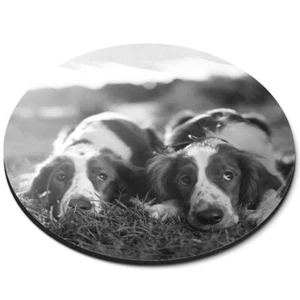 Round Mouse Mat (bw) - Welsh Springer Spaniel Dog Puppy #37759 - Afbeelding 1 van 8