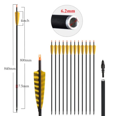 Archery 32" Arrows Carbon Arrows SP400 Feather Screw-in Points Targeting Arrows - Image 1 of 4
