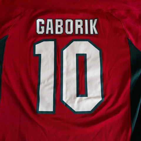 Marian Gaborik Minnesota Wild Jersey #10 Size Large NHL Apparel Cover