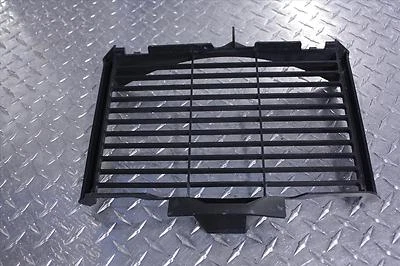 05 YAMAHA FZ6-S RADIADOR PARRILLA PROTECTOR FZ600 FZ S Foto 1 de 4