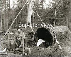 Hirsch Jagd Hirsch Jäger lebt in einem Baumstamm Winchester Gewehr Hirsch hängend MUSS GESEHEN WERDEN - Bild 1 von 1