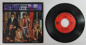 45 "Hey Grandma/Come in the Morning" Moby Grape 7" Columbia 4-44174 Styrene 1967 - Picture 1 of 4
