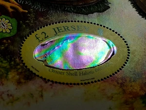 Jersey - "SEA SHELLS" Unique MS printed with reflective Pearlescent Ink 2006 - Picture 1 of 14