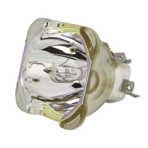 Lámpara para reemplazar E21.8 450W AC Lámpara proyector desnuda NSHA450CD - Imagen 1 de 3