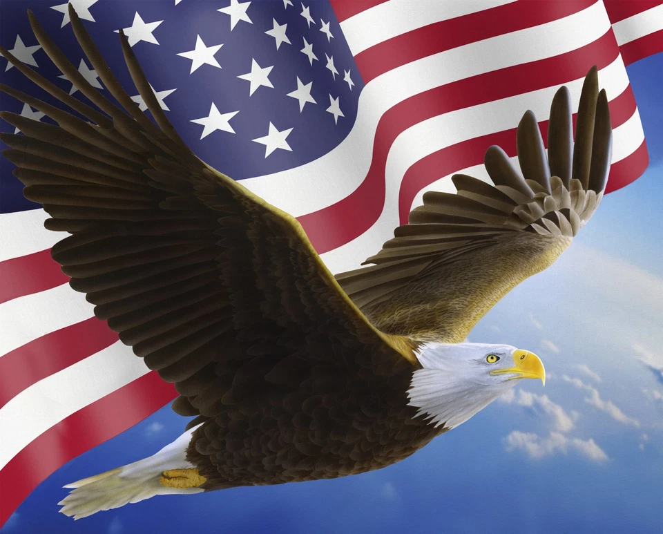 35" Fabric Panel | David Textiles Digital Eagle & The Flag Patriotic Scene - Image 1 of 1