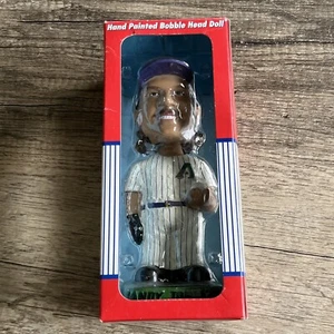 Unopened 2001 Randy Johnson Diamondbacks World Series Hand Painted Bobble Head - Picture 1 of 4