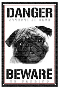 PUG PUG LICENSE PLATE DOG BEWARE OF DANGER METAL - Picture 1 of 1