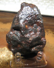 278 Gm . Canyon Diablo Iron Meteorite ; Top Grade ; Arizona Stand .6 Lbs
