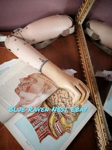 Antique Surgical Medical Leather Prosthetic Arm &  Hand  1900s Oddities  - Bild 1 von 12