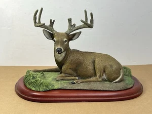 Figurina Danbury come nuova "Summer Velvet" Whitetail Deer Buck di Bob Travers danneggiata - Foto 1 di 13