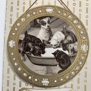 Antike POSTKARTE FIDO & WELPE WELPEN HUND geprägt Vintage Pm Ypsilanti Mi 1910 - Bild 1 von 3