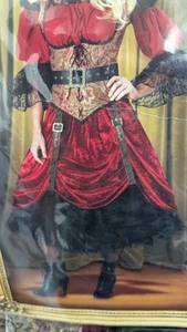 InCharacter Swashbuckler Woman S Pirate Costume Adult Size Medium - Picture 1 of 4