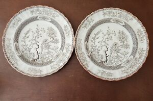 2 Vintage Copeland Spode India Tree 9" Round Luncheon Plates Brown White 