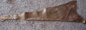 Fish Leather - Cod Leather - Suitable for Clothing Craft & Upholstery - - Picture 1 of 5