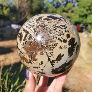 Large Picture Jasper Dendritic Crystal Sphere | 1270 grams | 99mm l 2lbs 13oz - Picture 1 of 10