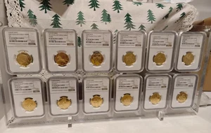 12 Grids Acrylic Display Frame Crystal Case for NGC/PCGS/ICG/ANACS Mixed Holders - Picture 1 of 14