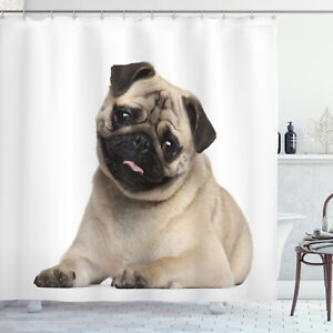 Pug Shower Curtain Young Puppy Lying on Floor Print for Bathroom 70 Inches Long