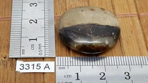 SEPTARIA pierre plate naturelle lithotherapie collection mineraux massage reiki - Picture 1 of 1