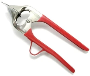 Sea Urchin Opener DS-UN2535 UNI-Kun Stainless Opening Shell Tool FedEx - Picture 1 of 4