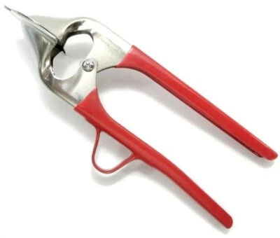 Sea Urchin Opener DS-UN2535 UNI-Kun Stainless Opening Shell Tool FedEx - Image 1 of 4