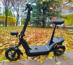 TANTE PAULA Maximilian 2, E-scooter 1000 Watt - NEW - Bild 1 von 23