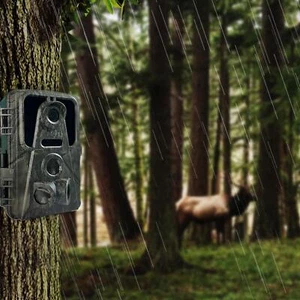 Trail Camera Trail cam Outdoor IP66 Waterproof Forested Camera 2inch Display - Picture 1 of 7