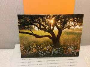 AVANTI SYMPATHY GREETING CARD New w/envelope "May loving memories warm your..." - Picture 1 of 2