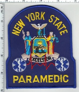 New York State Paramedic Blue Shoulder Patch current issue - Picture 1 of 1