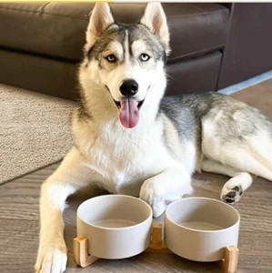Spunky Junky Ceramic Dog and Cat Bowl with Bamboo Wood Stand Matte Beige 6 Inch - Picture 1 of 3