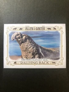2021 Topps Allen & Ginter Northern Elephant Seal #RB-5 - Picture 1 of 2
