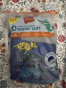 Hanes Toddler Boys Assorted Tagless Brief Underwear 4T - Picture 1 of 2