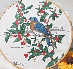 Aro decorativo pájaro azul / colgante de pared, 10" de diámetro ¡ENVÍO GRATUITO! - Imagen 1 de 3