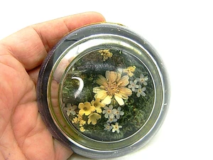 Wildblumen Blumen Glas Briefbeschwerer ummantelt Trockenblume Gänseblümchen Vintage - Bild 1 von 7